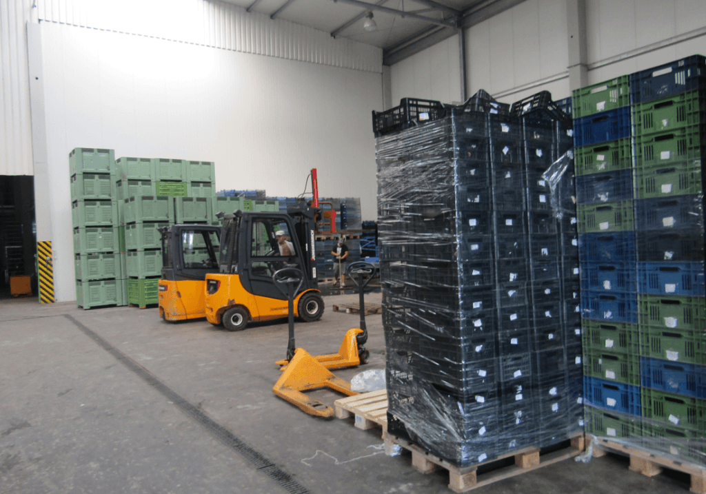 Eksport jabłek do Egiptu