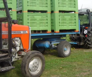 Eksport jabłek do Północnej Afryki – doświadczenia Grupy Fructis