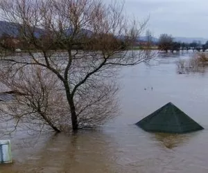 Wsparcie inwestycji w&nbsp;gospodarstwach rolnych – rusza nabór wniosków!