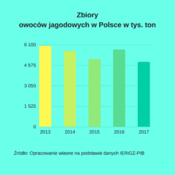 owoce jagodowe