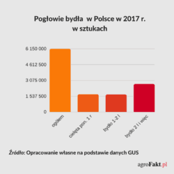 Pogłowie bydła w Polsce