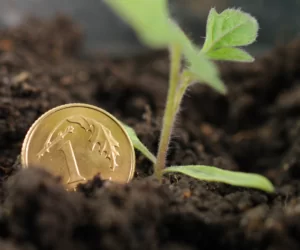 Ruszyły dopłaty do ubezpieczeń upraw rolnych