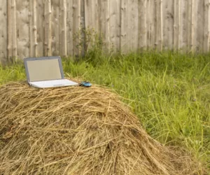 E-składki KRUS nową usługą dla ubezpieczonych