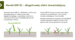 Herold 600 SC zawiera dwie substancje biologicznie czynne o różnym sposobie działania. 
