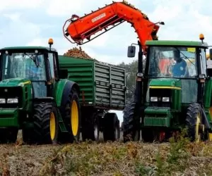 Ziemniak – o&nbsp;jego wartościach przed zbiorami