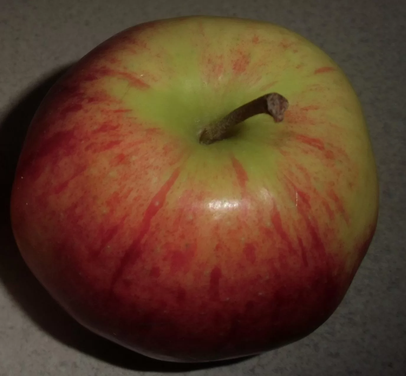 choroby przechowalnicze jabłek