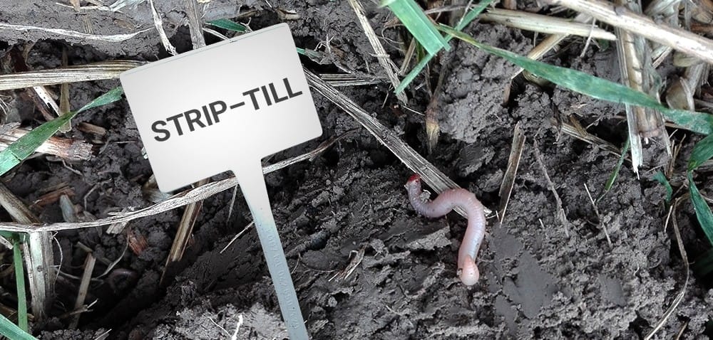 Uprawa pasowa roli w&nbsp;praktyce – warsztaty w&nbsp;Garncarsku