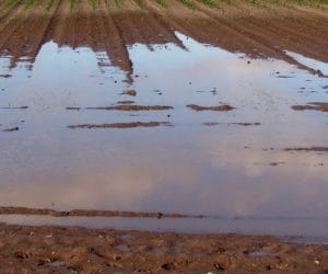 Zastoiska wody utrudniają prace na polach
