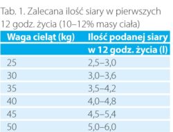 pojenie cieląt