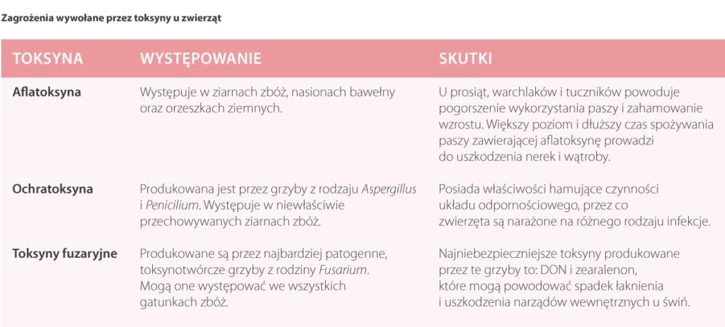 mikotoksyny w paszach