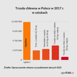 Pogłowie świń w Polsce w 2017 r. 