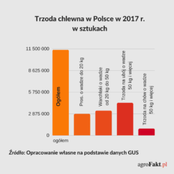 Pogłowie świń w Polsce w 2017 r. 