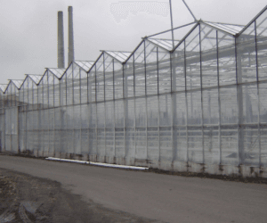 Dezynfekcja pomieszczeń gospodarczych – jak ją przeprowadzić