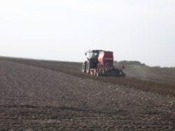 jesienne zabiegi agrotechniczne