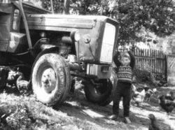 historia gospodarstwa