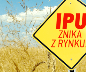 Izoproturon wycofany po 37 latach! Czym go zastąpić?