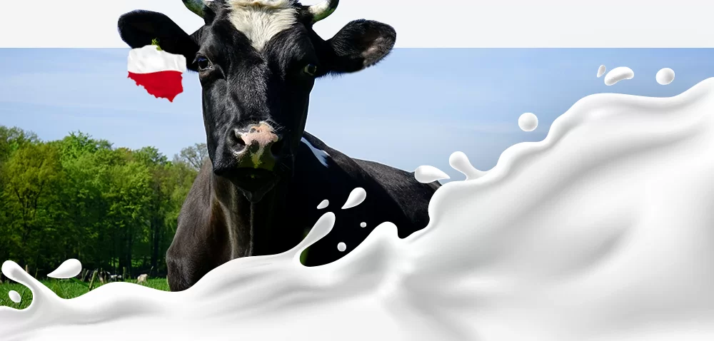 Rynek mleka w Polsce rośnie. Jaki będzie 2018 rok?