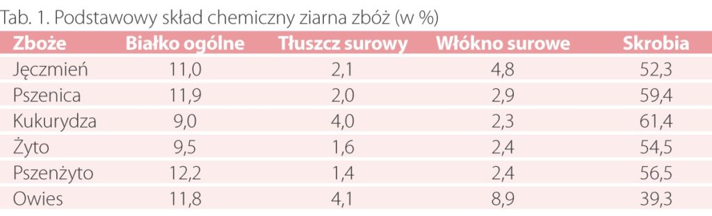 skład chemiczny ziarna zbóż