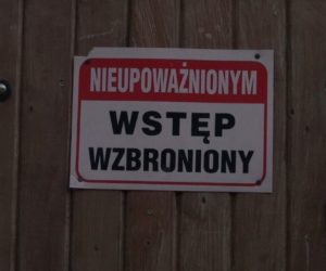 ASF w&nbsp;Polsce. Przede wszystkim prewencja!