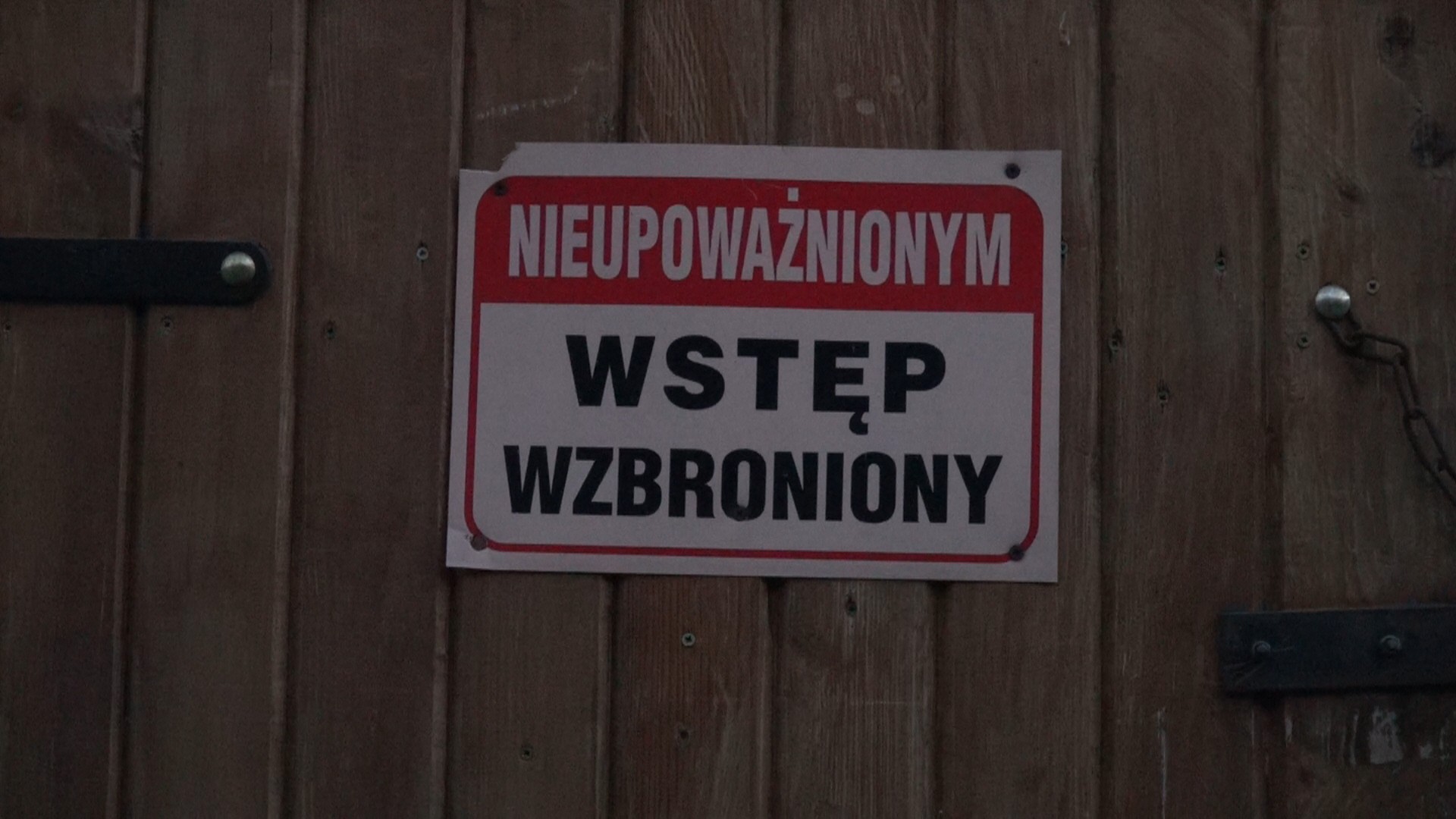 ASF w Polsce. Przede wszystkim prewencja!