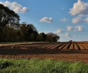 Dzierżawa gruntów Skarbu Państwa – jak to zrobić?