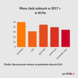 Plony zbóż ozimych 