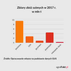 Zbory zbóż ozimych