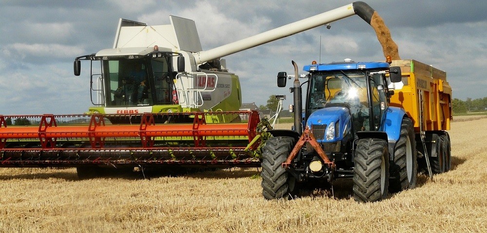 Handel zbożem na świecie – jakich cen można się spodziewać?