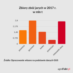 Zbiory zbóż jarych 