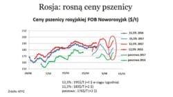 Ceny pszenicy w Rosji 