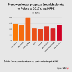 Plony zbóż 2017 r.