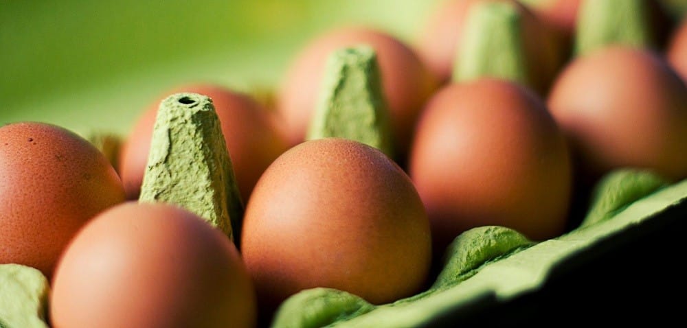 Ceny jaj rosną – ile będzie trzeba za nie zapłacić pod koniec roku?
