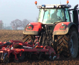 Nawożenie obornikiem – dlaczego wzrasta jego popularność?