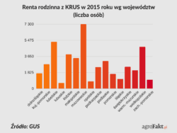 renta rodzinna z KRUS