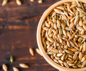 Agro Akademia BASF – perfekcyjny jęczmień dla każdego