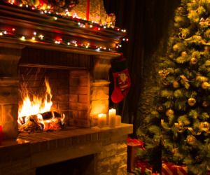 Historia choinki w&nbsp;100 sekund – wydanie specjalne