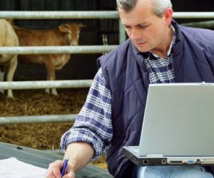 Przedłużony termin wniosków o&nbsp;dopłaty