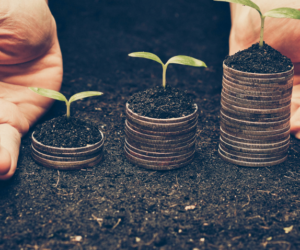 Nadchodzi Fundusz Ochrony Przychodów Rolniczych