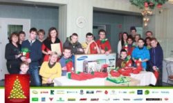 Świąteczna Choinka AgroFoto