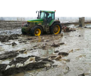 Wilgotność gleby przy zabiegach agrotechnicznych: kiedy wjechać w&nbsp;pole, a&nbsp;kiedy czekać?