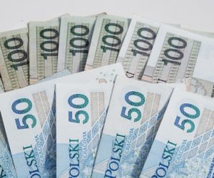 Zaliczki na dopłaty bezpośrednie trafiły do rolników