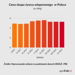 Cena skupu żywca wieprzowego