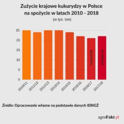 Zużycie kukurydzy w Polsce 
