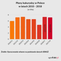 Plony kukurydzy