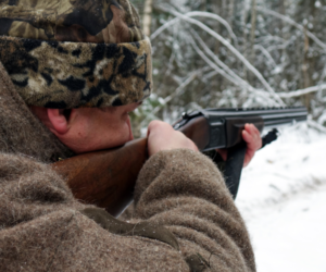 Prawo łowieckie i&nbsp;wycinka puszczy – Co zrobi nowy minister?