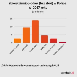 Zbiory ziemiopłodów w Polsce