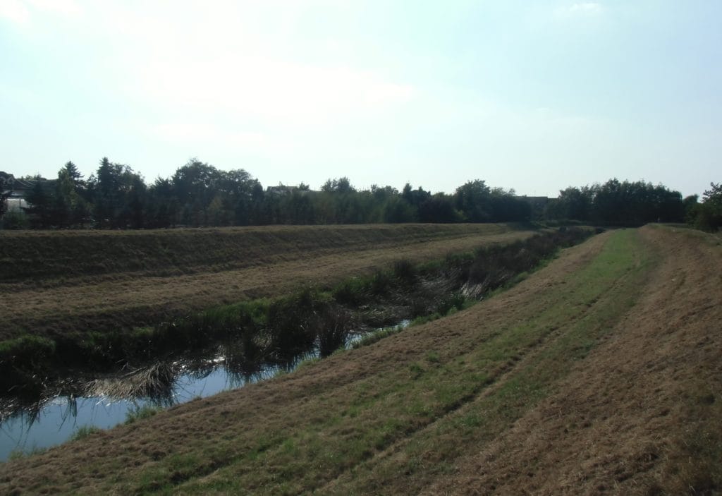Agrotechniczna Metoda Ochrony Jab oni agrotechniczna-metoda-ochrony-jab-oni