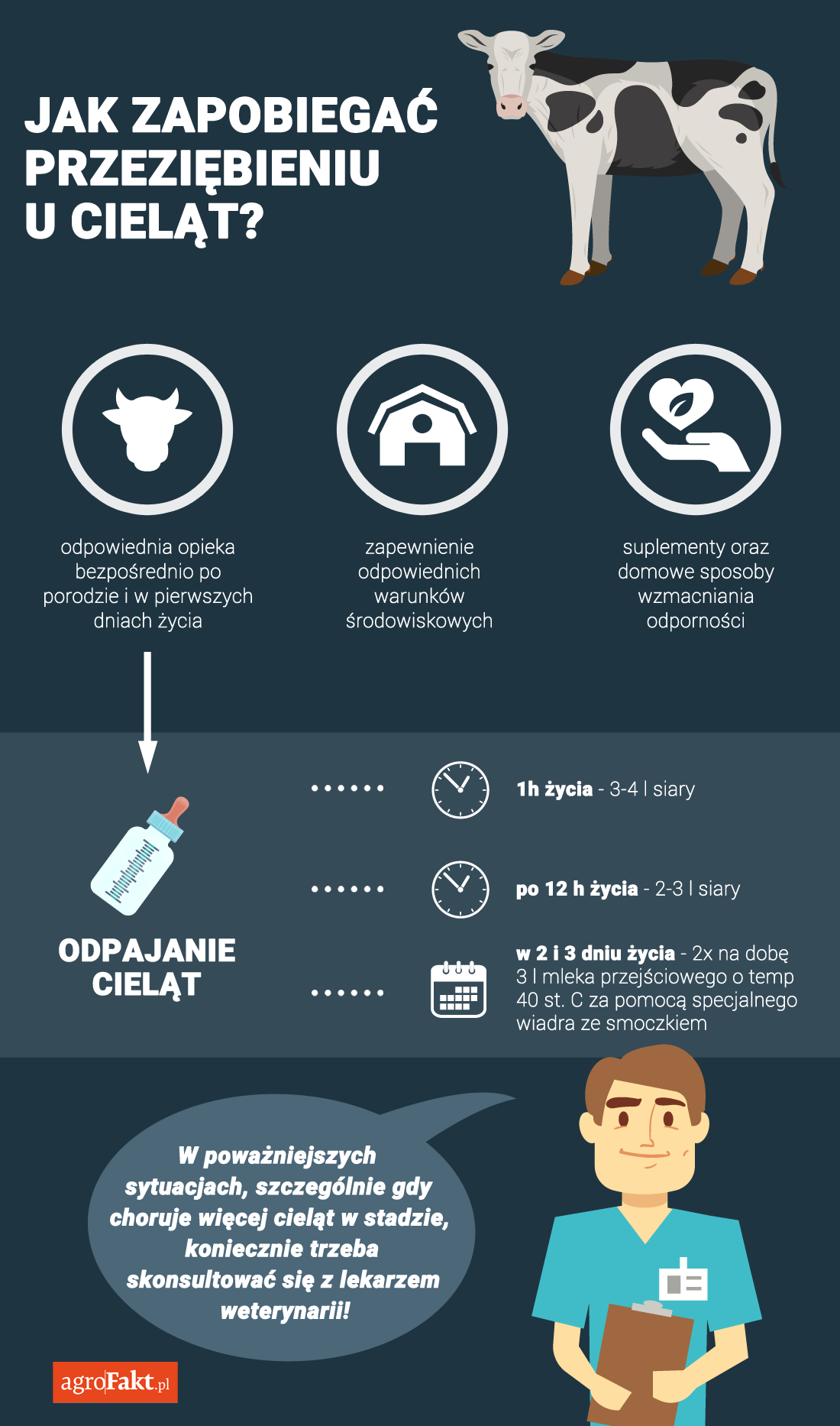 infografika_przeziebienie_u_cielat