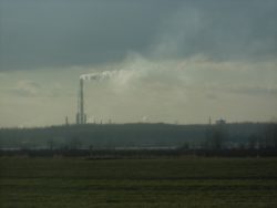 lokalizacja sadu jabłoniowego