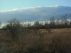 lokalizacja sadu jabłoniowego